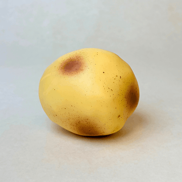 Crunchy Potato Squishy - Block Filling