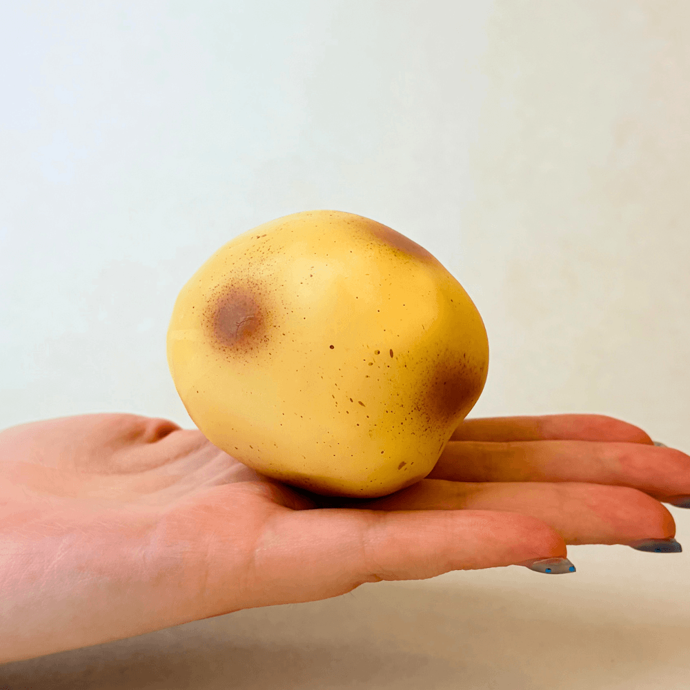 Crunchy Potato Squishy - Block Filling packaging