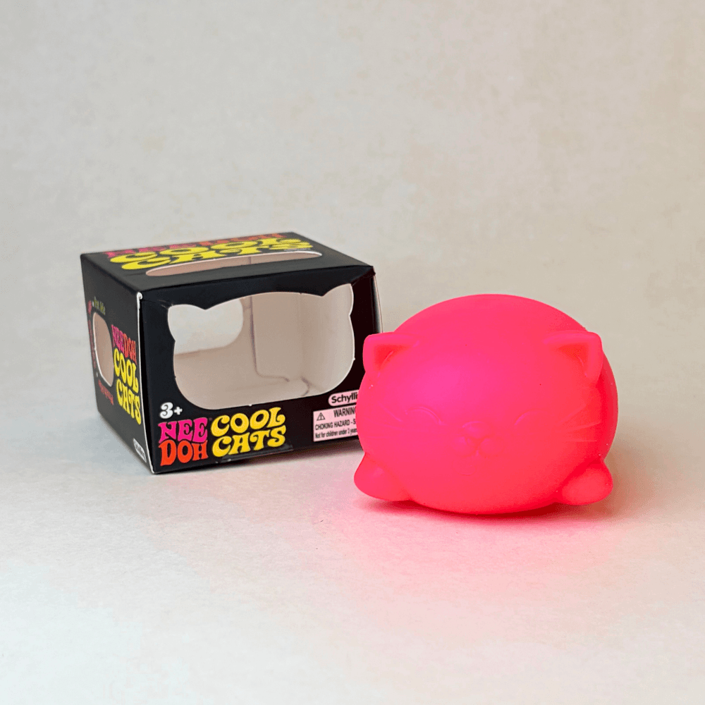 Needoh Cool Cats packaging